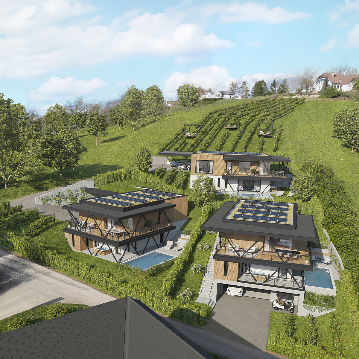 STB_Realestate_GNeudauberg_06
